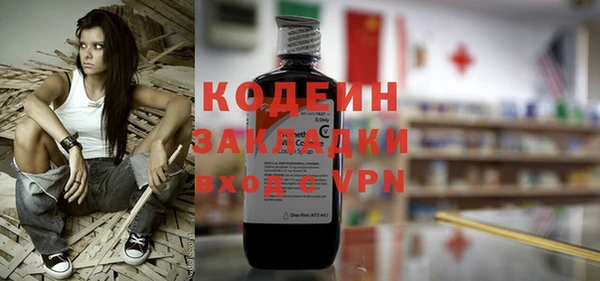 эйфоретик Няндома