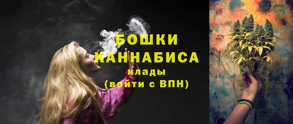 эйфоретик Няндома