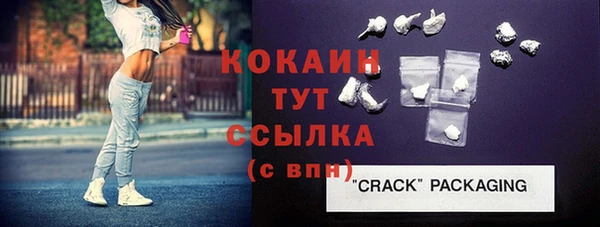 амф Новозыбков