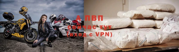 амф Новозыбков