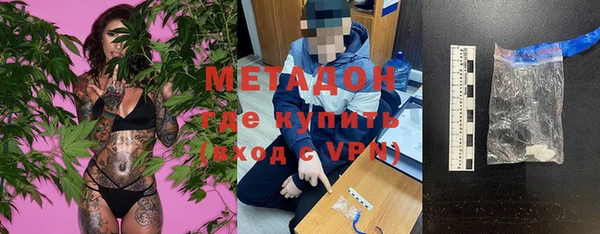 амф Новозыбков