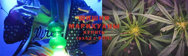 амф Новозыбков