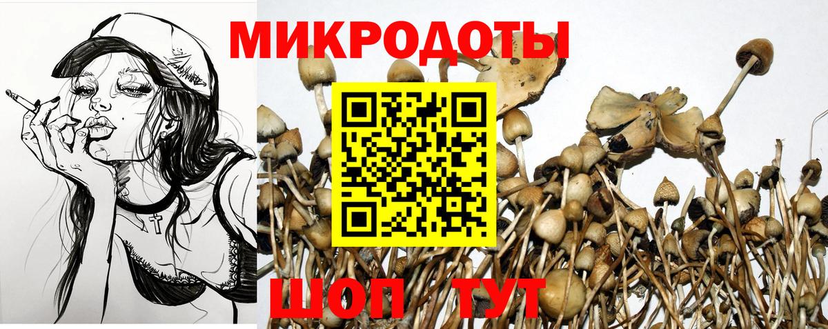Псилоцибиновые грибы Psilocybe Изобильный