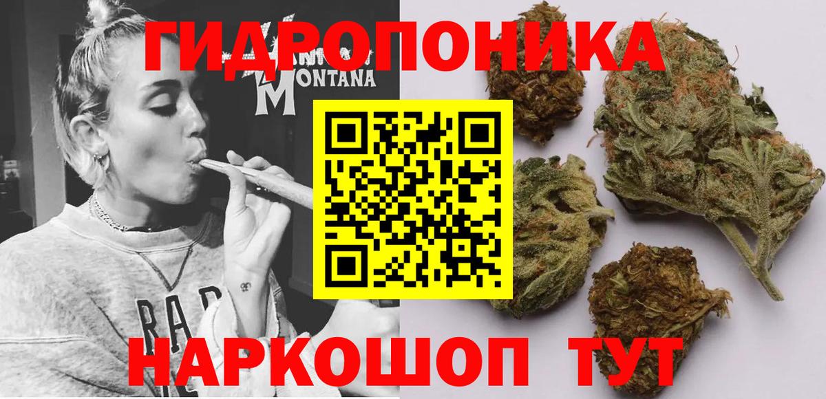 Конопля SATIVA & INDICA  Шишки марихуана Amnesia  Каннабис LSD WEED  Изобильный  Канабис семена 